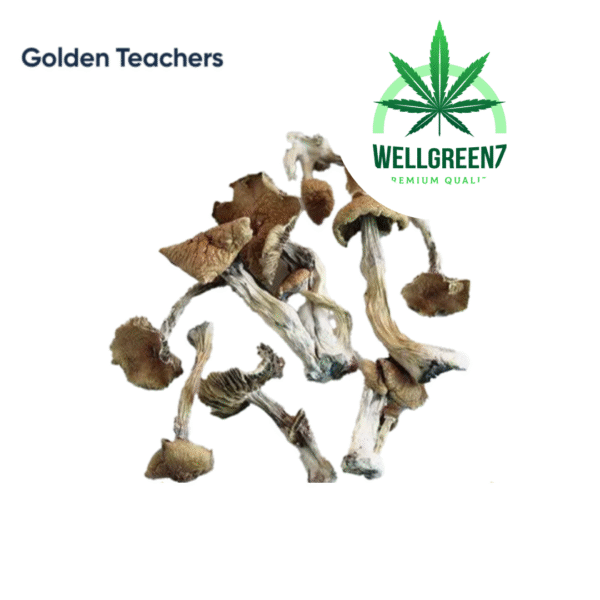 Golden Teachers Mushrooms