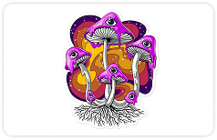 Frame 1618873510