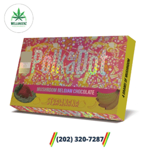 Polka Dot Mushroom Belgian Chocolate Strawnana