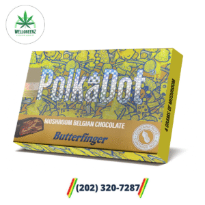 Polka Dot Mushroom Belgian Chocolate Butterfinger